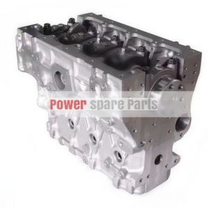 Cylinder Block Assy 729907-01560 for Komatsu 75-V Yanmar 4TNV98 Diesel Engine