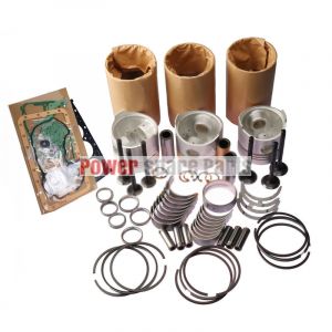 Overhaul Rebuild Kit for Kubota D1301 Engine L295DT, L295F, L305
