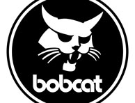 Bobcat